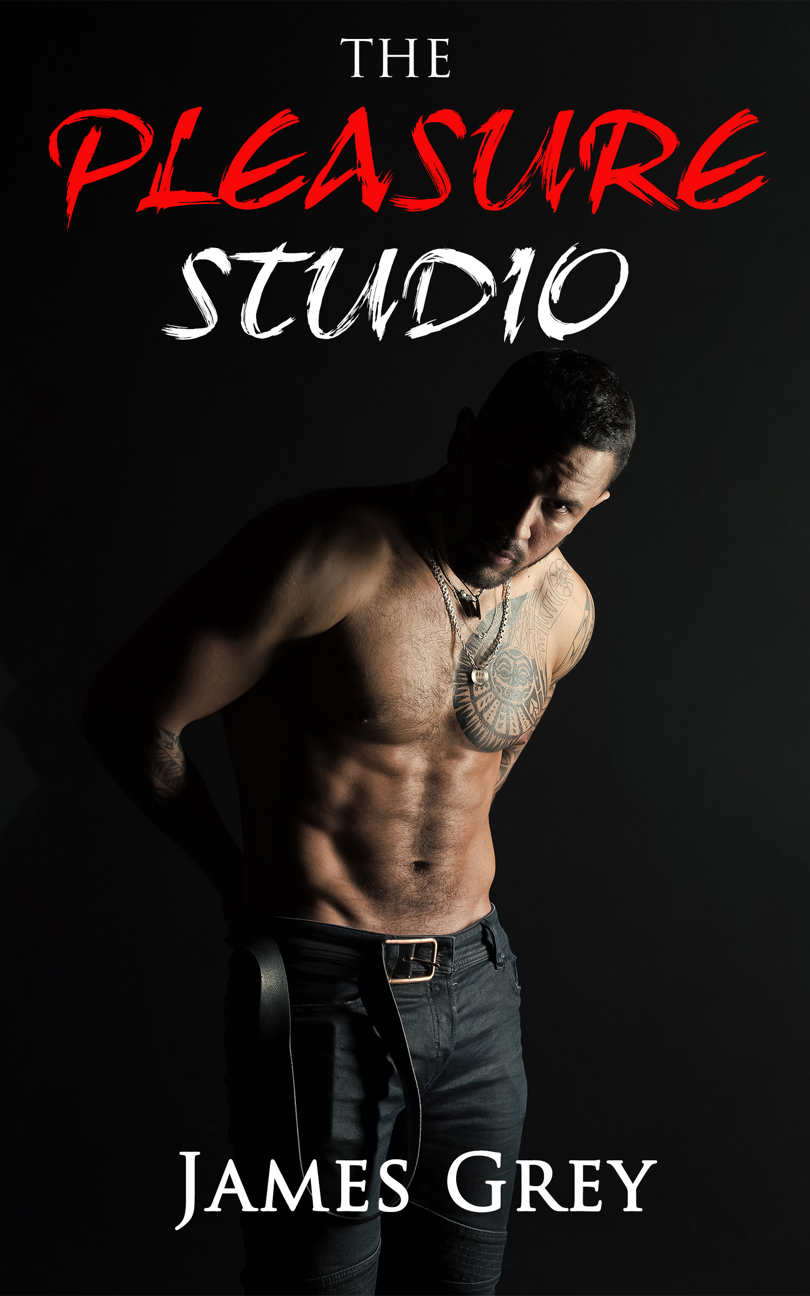 The Pleasure Studio Ebook